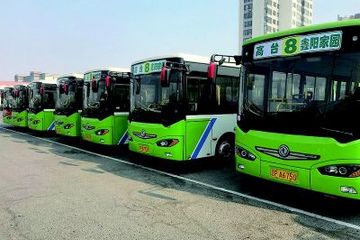 辽宁葫芦岛投入2000多万，购买100余台新能源公交车