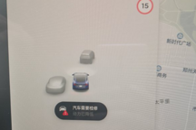 购特斯拉15天高速上突降速，司机受惊求退车