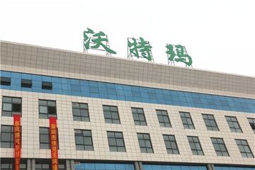 负债累累，又一昔日电池巨头“倒下”