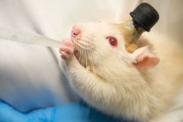 蓝牌新能源车主的怨念：我们为何成了小白鼠？