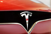 德国法院批准特斯拉继续砍伐森林 超级工厂建设一波三折