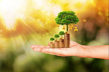 财政部：三大政策支持中小微企业早日复工复产