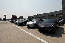国产Model 3 车主集体维权