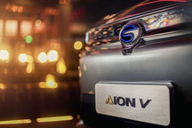 有人黯然离场，有人逆势大涨 中国新能源品牌大旗谁来扛？