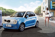 欧拉黑猫不仅身体素质过硬，智力也是胜人一筹