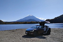 全球最有吸引力雇主：特斯拉工程学第1，商科、计算机专业前10