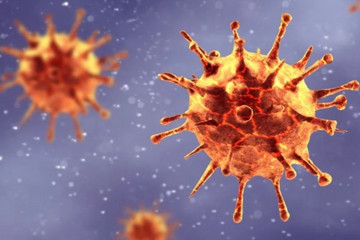 由于新冠疫情危机继续加剧，欧洲再次实施封锁措施