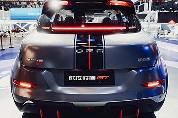 欧拉11月销量11592辆 同比增长415%