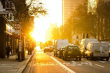 2021年2月节能和新能源乘用车TOP10