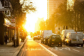 2021年2月节能和新能源乘用车TOP10