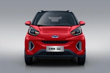 时尚小蚂蚁VS复古欧拉黑猫 看谁的“颜值”更能代表“正义”？