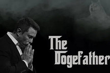 因为能源浪费问题，特斯拉不再接受比特币购车