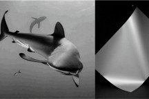 瑞腾新车RT1设计图曝光，极简主义设计媲美保时捷