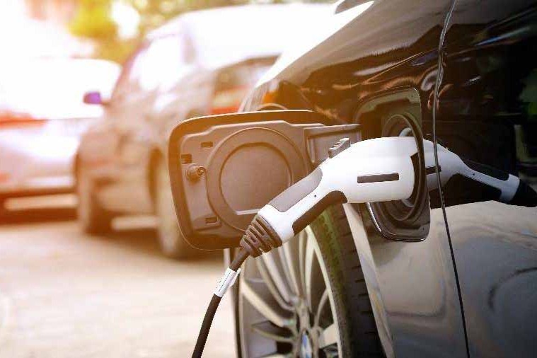 第346批新车公示：零跑C11/欧拉樱桃猫等335款新能源车型在列