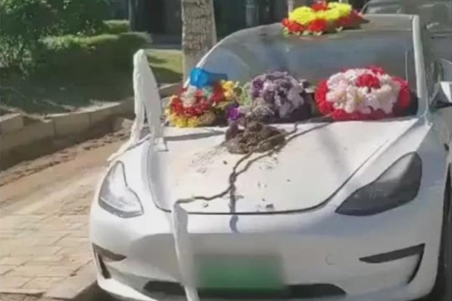 温州特斯拉刹车失灵事件水落石出！特斯拉获赔5万元