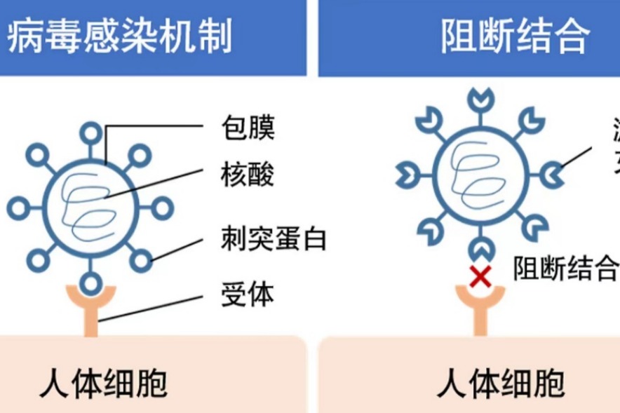 日产与日本高校共同研发灭活病毒的空气氧化催化剂技术