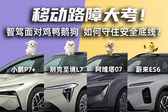 移动路障大考!智驾面对鸡鸭鹅狗,如何守住安全底线?