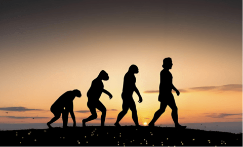 1769828113663535.png image.png