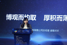 诸葛环环：2020 年以后，吉利将会推出近 40 款新能源车型