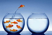 A00级电动车补贴将大幅退坡，5万级市场是否会还给低速车企？