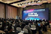 王秉剛：2030年中國新能源汽車保有量將達總銷量一半