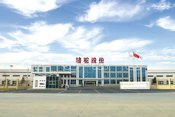 骆驼股份拟联合克罗地亚设立合资公司并投资10亿元建新能源电机项目