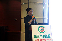 中國電池聯(lián)盟王超：動力電池企業(yè)布局和完善回收利用體系 行業(yè)快速前進
