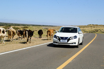 到新疆去试电车是什么体验？试驾东风日产轩逸·纯电