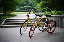 间于齐楚的ofo，会向某方势力低头吗？