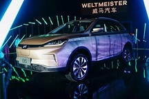 吹得再好也买不到，威马沈晖表示交付不了竟然是因为这个？