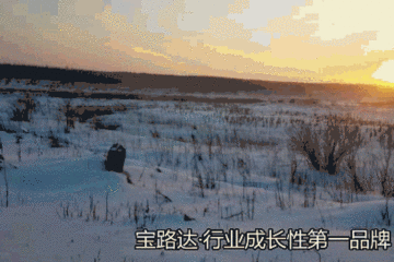 不服来战！宝路达混动王“北极”极寒挑战大幕拉开