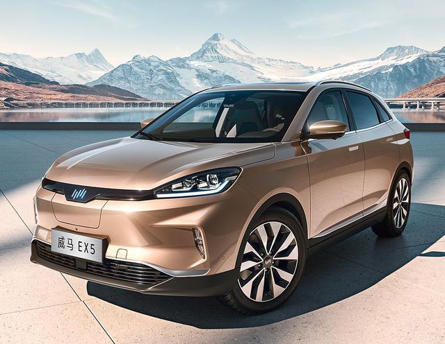 代工新規(guī)6月出爐，造車新勢力面臨大危機？