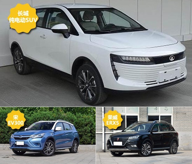 长城纯电动SUV,申报图，长城EV