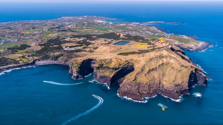 比亞迪電動巴士登陸韓國