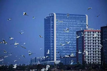 宁德时代CATL获批国家高新技术产业标准化试点企业