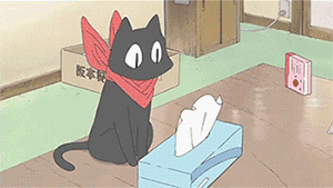 11.png