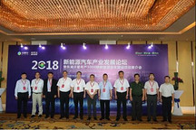 “火炉”武汉迎来下一个风口，东湖沂星引领新能源行业新趋势