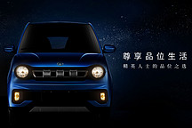 大阳四轮车系列，精英人士的品味之选