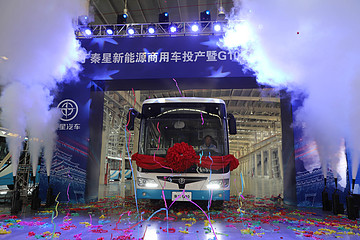【觀察】“渭·藍(lán)雙100戰(zhàn)略”再起新篇  雷丁汽車逐夢(mèng)未來(lái)路