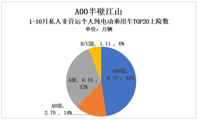 真實電動汽車私人消費有多少:25.11萬輛打個折