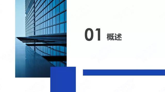 中國新能源汽車產(chǎn)業(yè)年度觀察2020（簡(jiǎn)版）