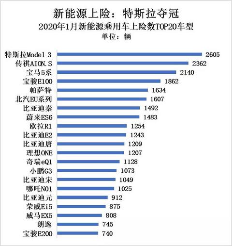 特斯拉Model 3入华首战夺冠，理想ONE崭露头角