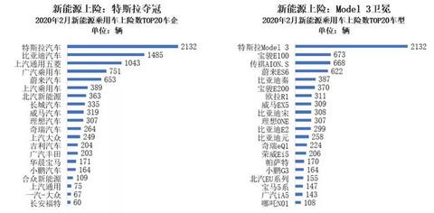 2月新能源车市：特斯拉拿下3项第一
