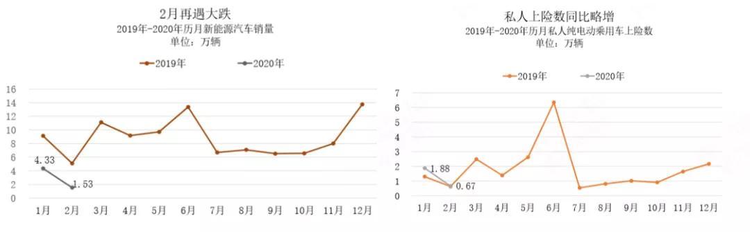 寒冬之中，哪些新能源汽车还在增长