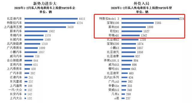 寒冬之中，哪些新能源汽車還在增長