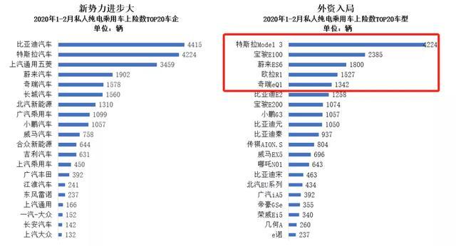 寒冬之中，哪些新能源汽车还在增长