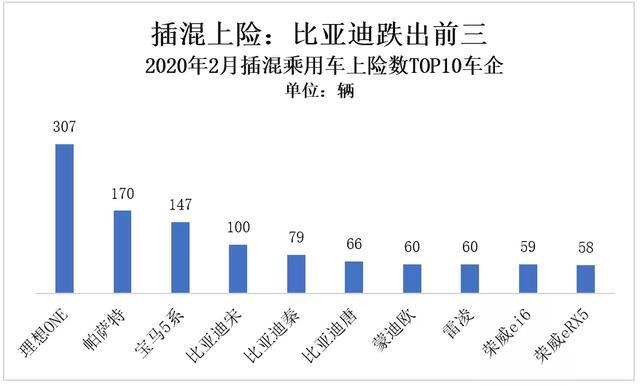 寒冬之中，哪些新能源汽车还在增长