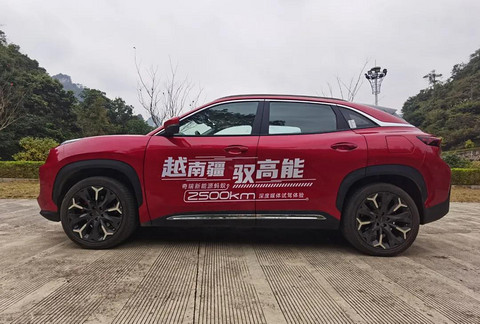“蚂蚁”终成大器