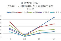 特斯拉大跌，理想ONE夺插混冠军