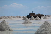 中國新能源汽車突飛猛進，供應鏈跟得上嗎？